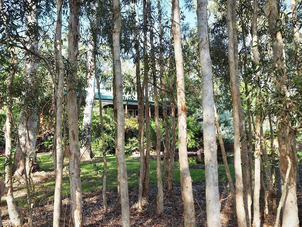 Lake Weyba Cottages Noosa Peregian Beach Bed & Breakfast