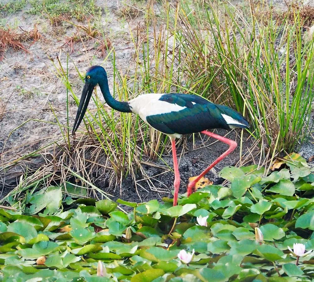 Lake Weyba Cottages Noosa Peregian Beach