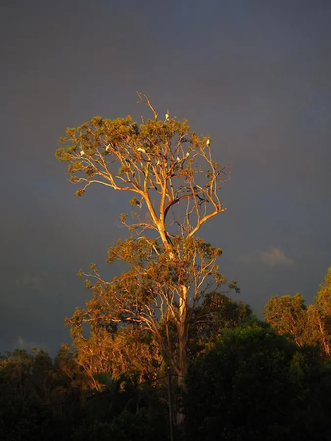 Lake Weyba Cottages Noosa Peregian Beach 4*,  Australia