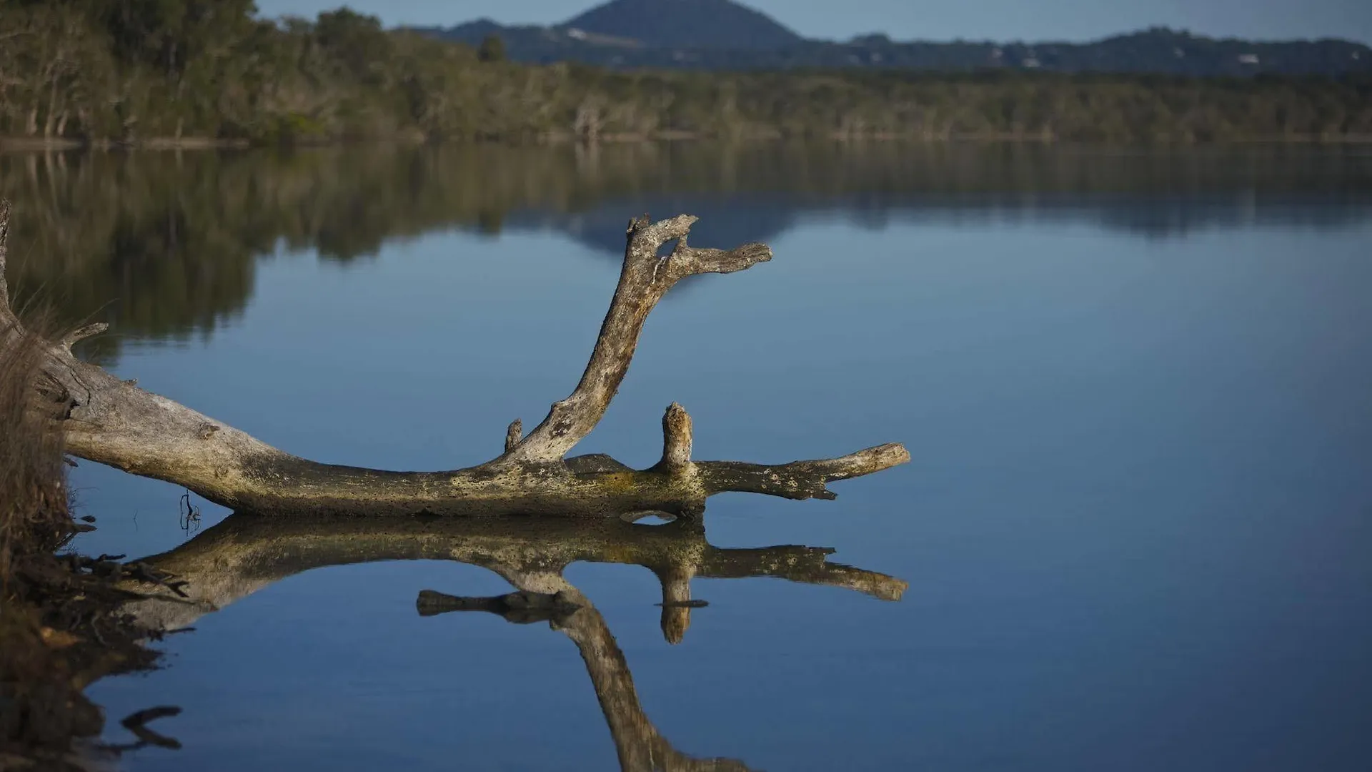 Lake Weyba Cottages Noosa Peregian Beach Bed & Breakfast